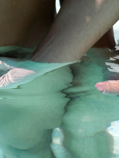 Skinny-Dipping and Raw Fucking by the Pool